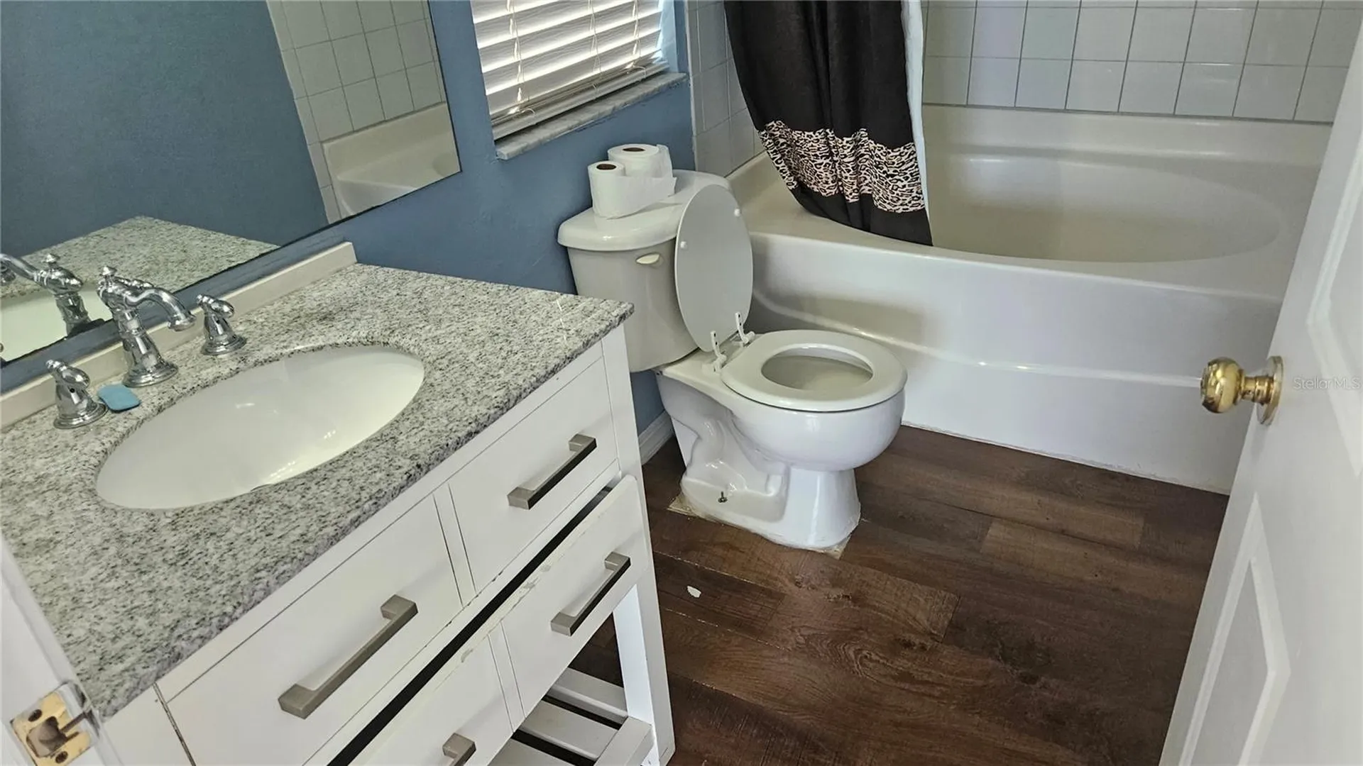 6836 Aramon Court Wesley Chapel FL 33545