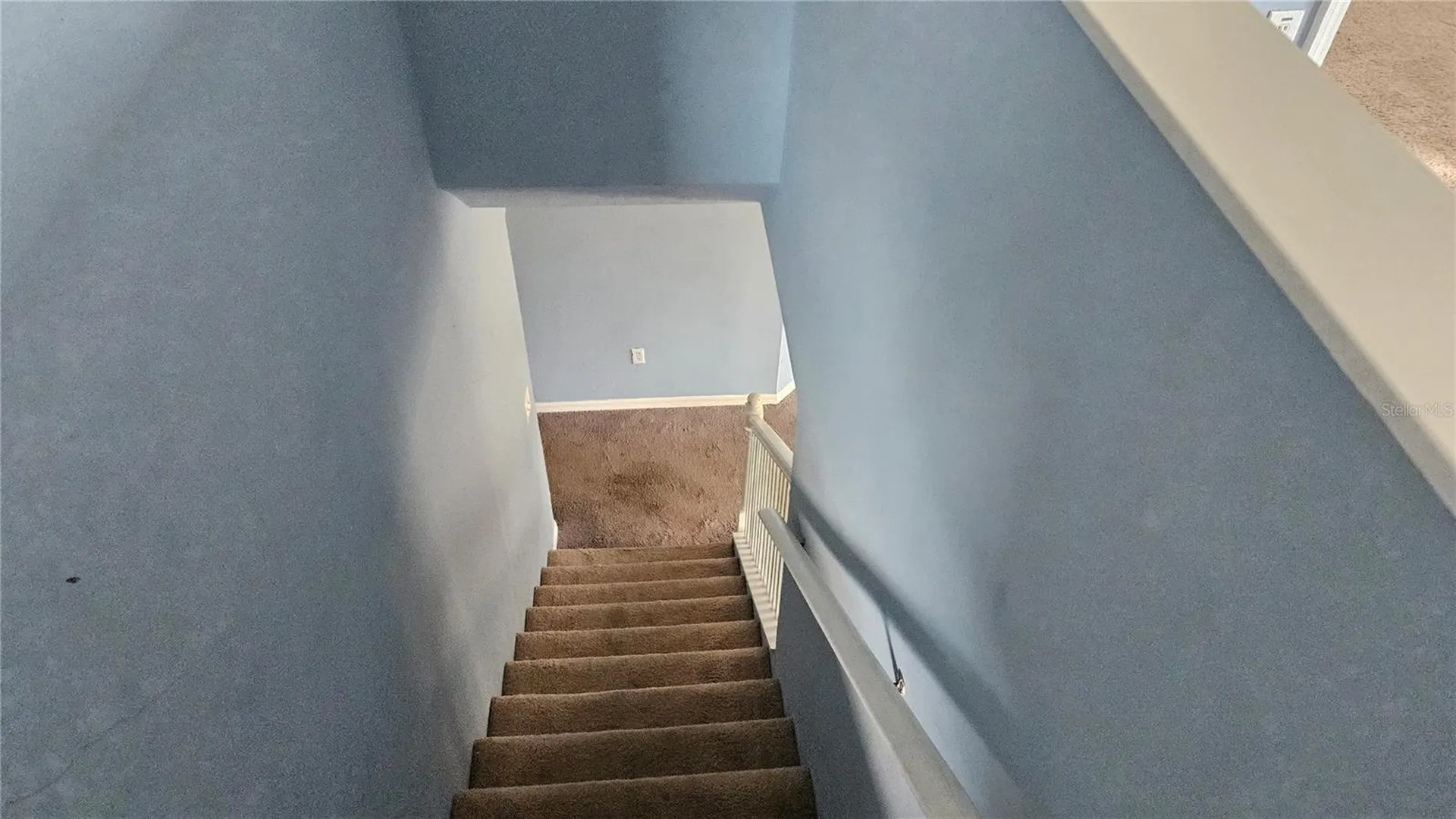 6836 Aramon Court Wesley Chapel FL 33545