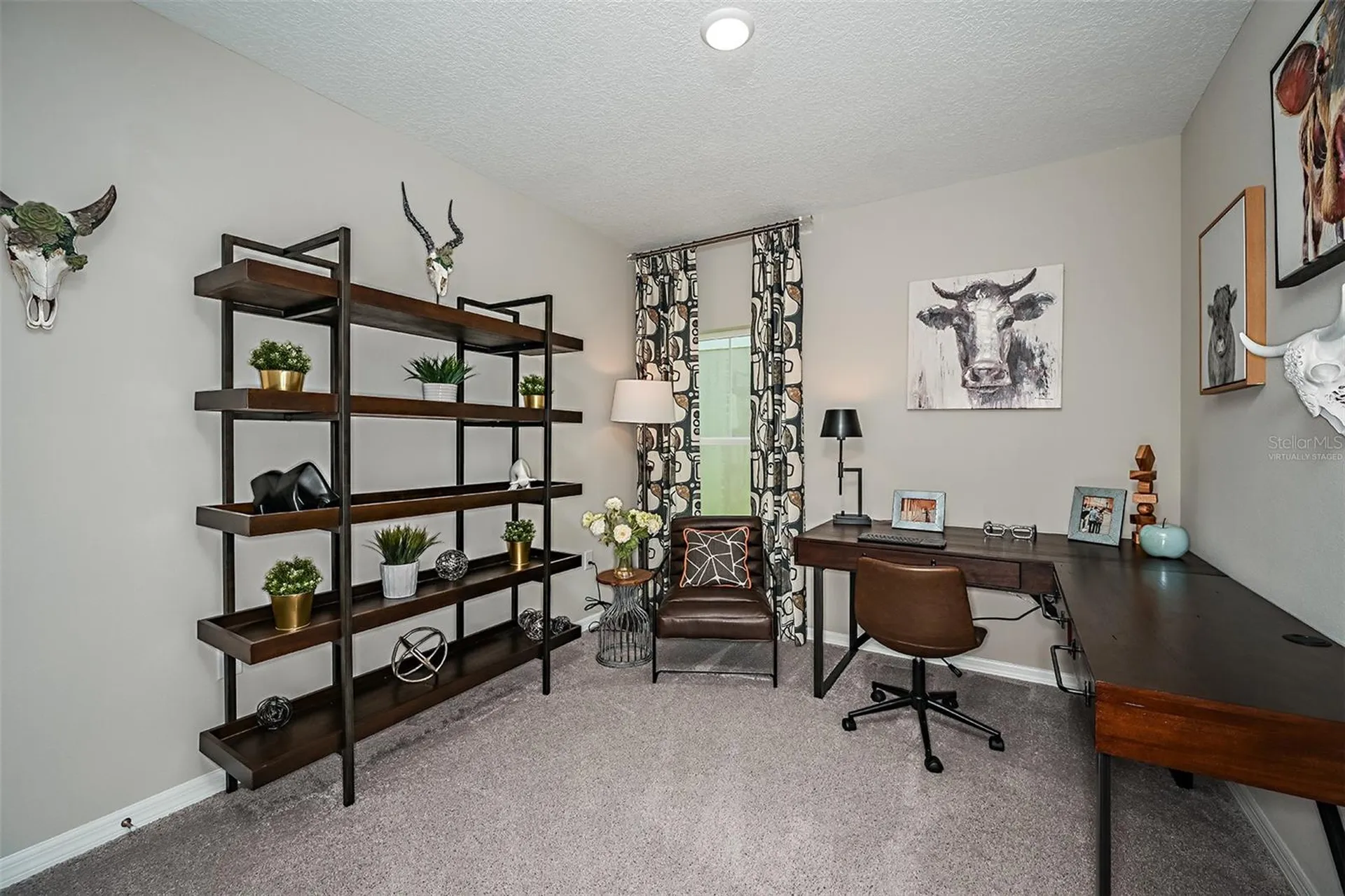 36671 Sagemoor Drive Zephyrhills FL 33541