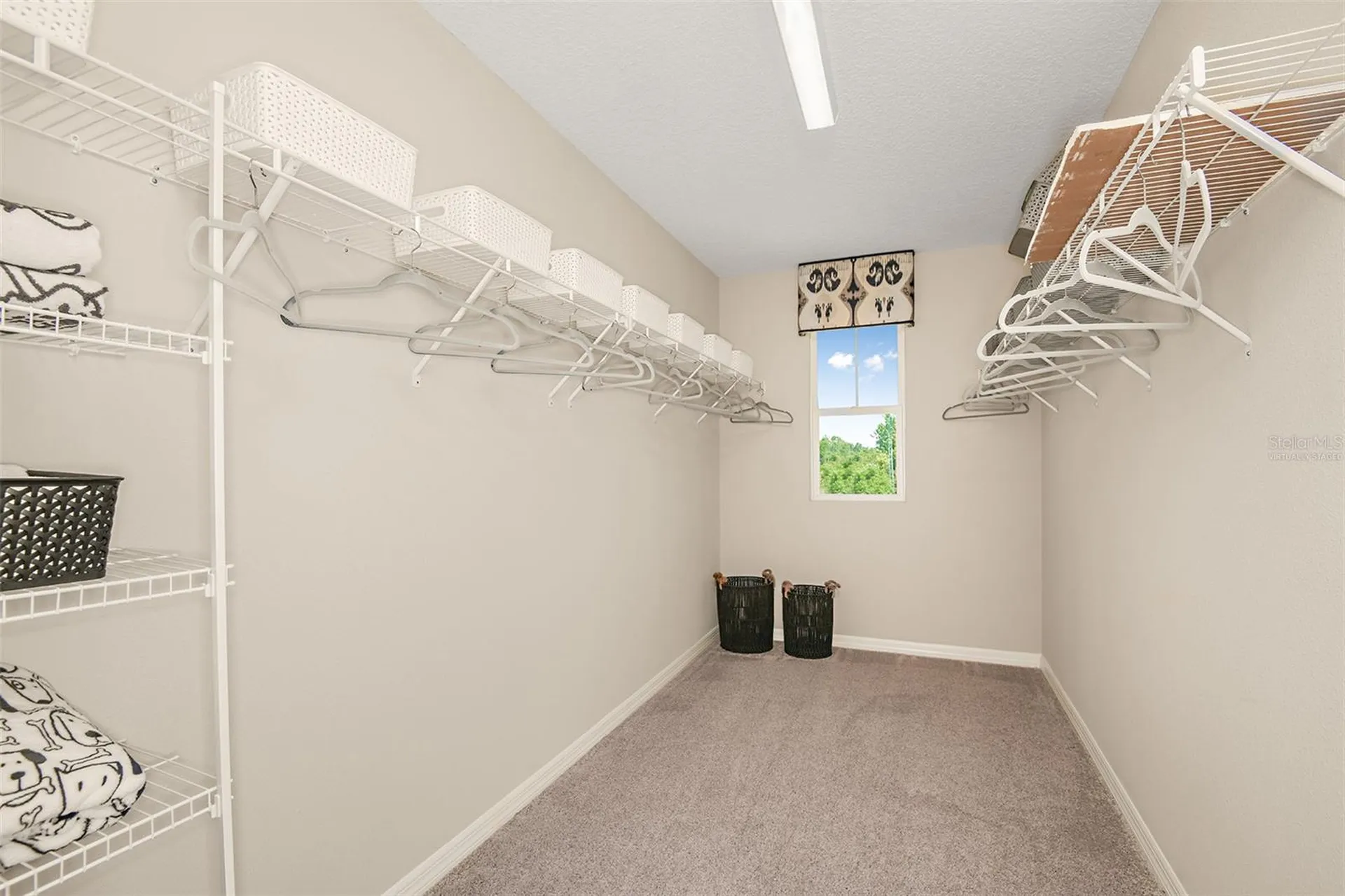 36671 Sagemoor Drive Zephyrhills FL 33541