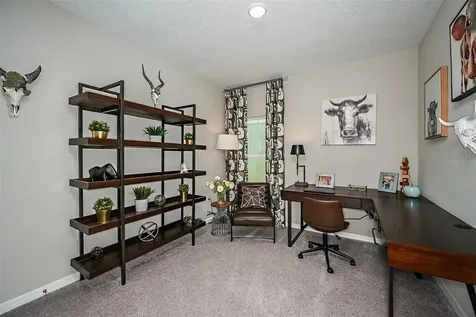 36671 Sagemoor Drive Zephyrhills FL 33541