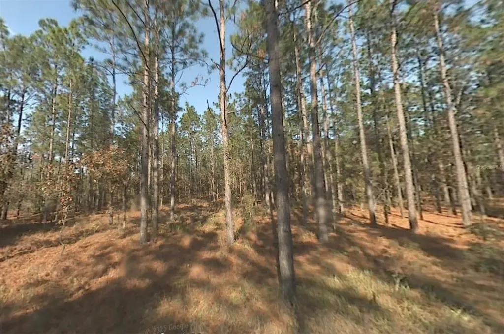 00 SW 39th Street Dunnellon FL 34432