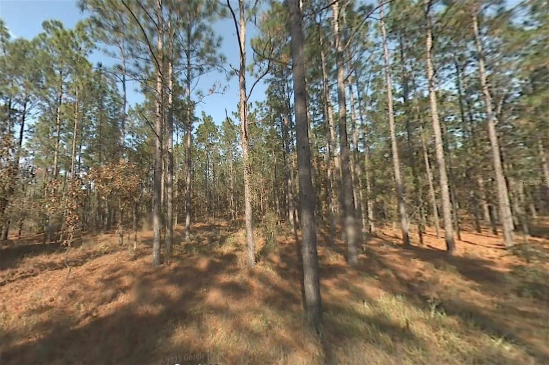 00 SW 39th Street Dunnellon FL 34432