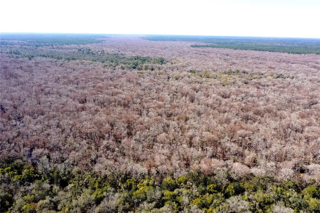 Tbd NE 170th Avenue Road Fort Mc Coy FL 32134