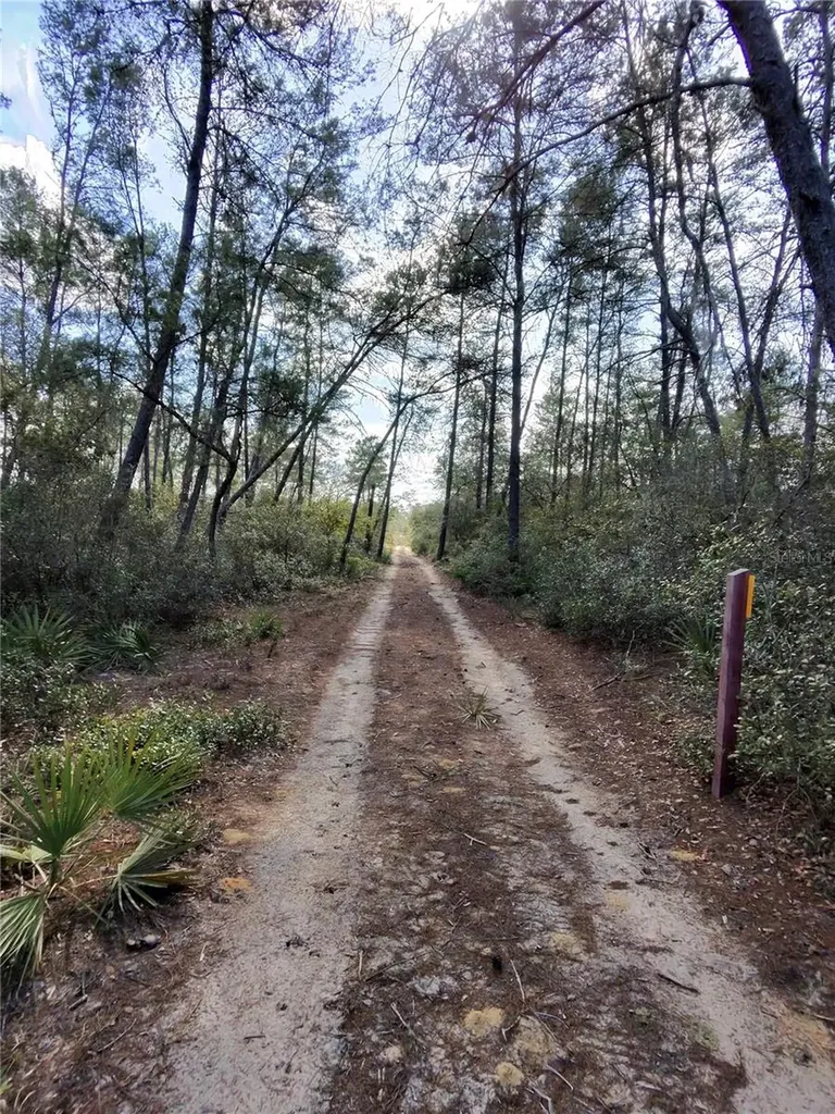 Tbd NE 170th Avenue Road Fort Mc Coy FL 32134