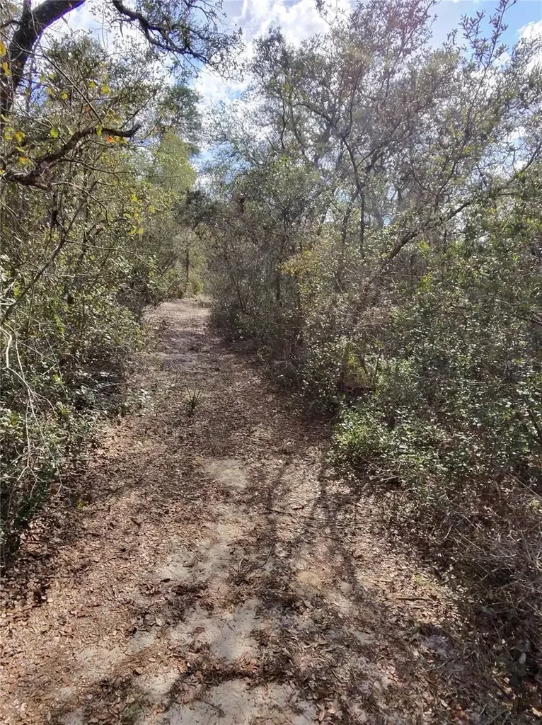 Tbd NE 170th Avenue Road Fort Mc Coy FL 32134