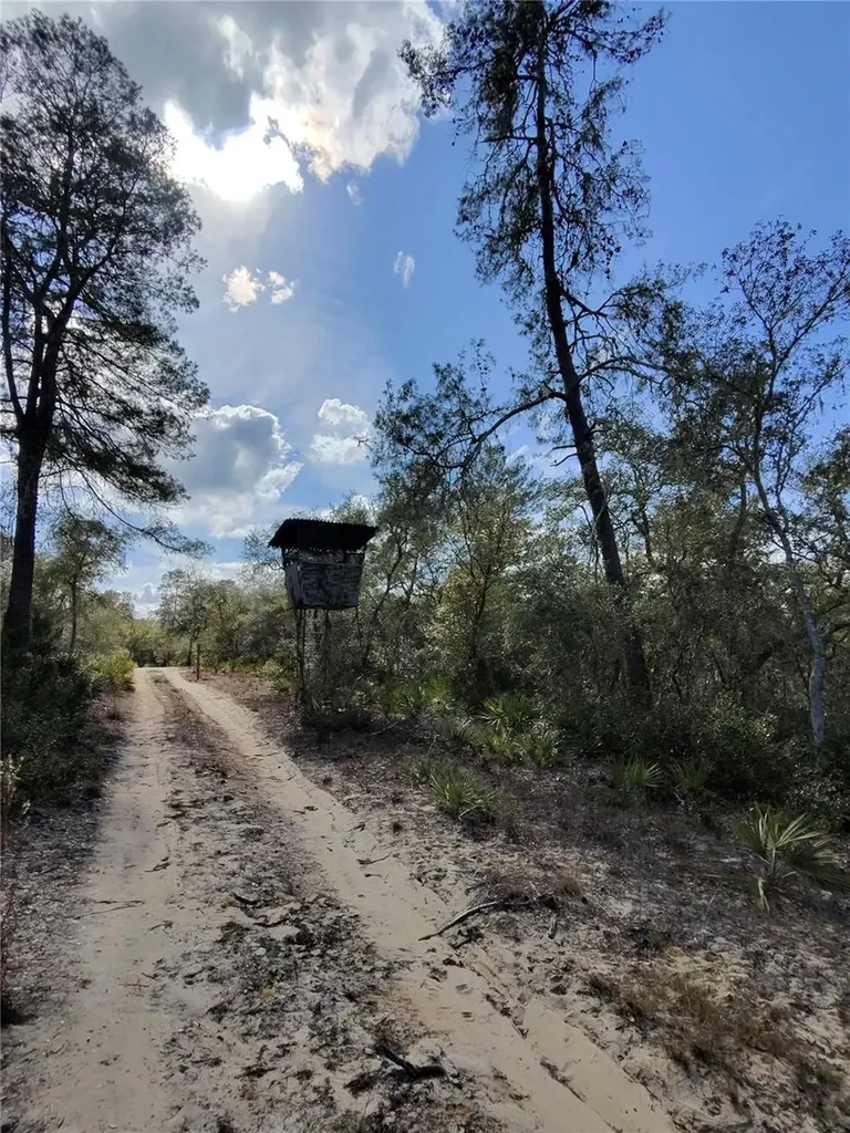 Tbd NE 170th Avenue Road Fort Mc Coy FL 32134