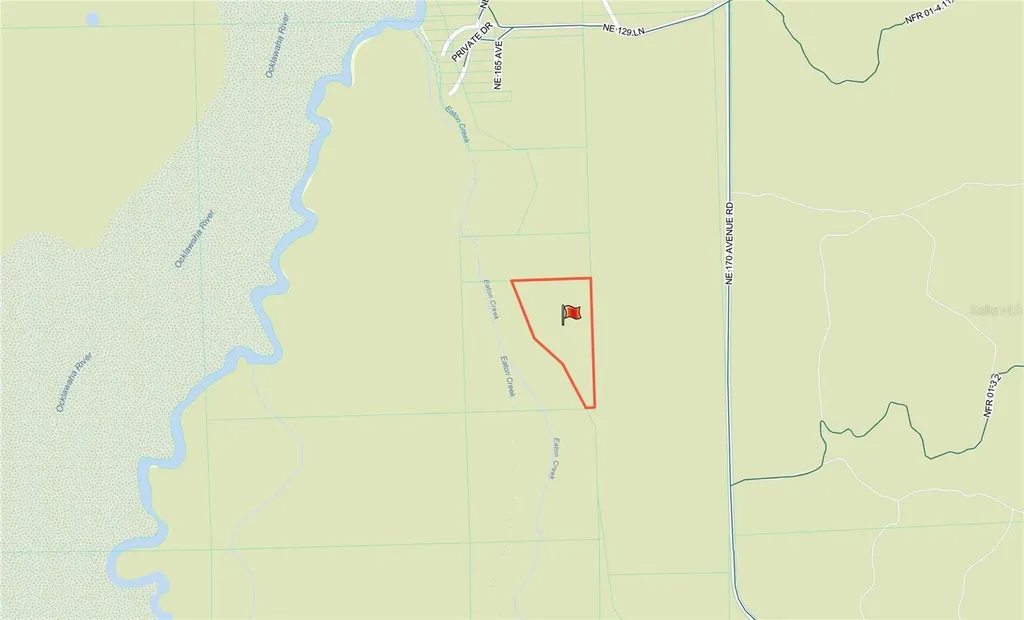 Tbd NE 170th Avenue Road Fort Mc Coy FL 32134