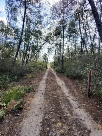 Tbd NE 170th Avenue Road Fort Mc Coy FL 32134