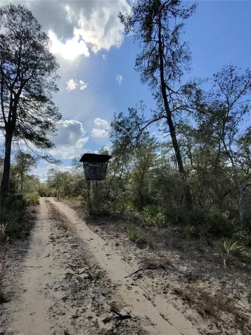 Tbd NE 170th Avenue Road Fort Mc Coy FL 32134