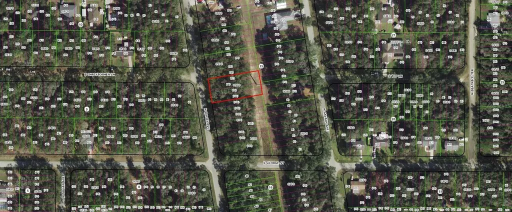 913 N Rooks Avenue Inverness FL 34453