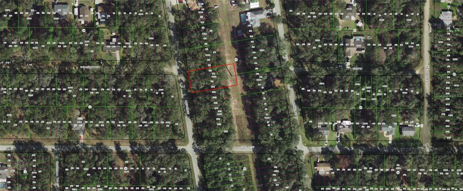 913 N Rooks Avenue Inverness FL 34453