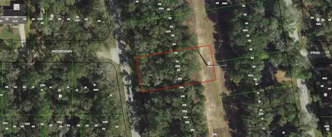 913 N Rooks Avenue Inverness FL 34453