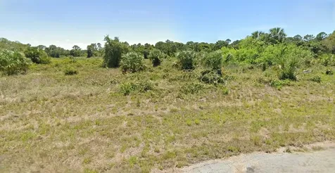 206 John Young Terrace Labelle FL 33935