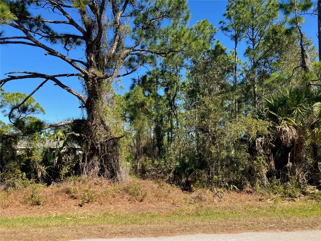 26334 Eager Road Punta Gorda FL 33955