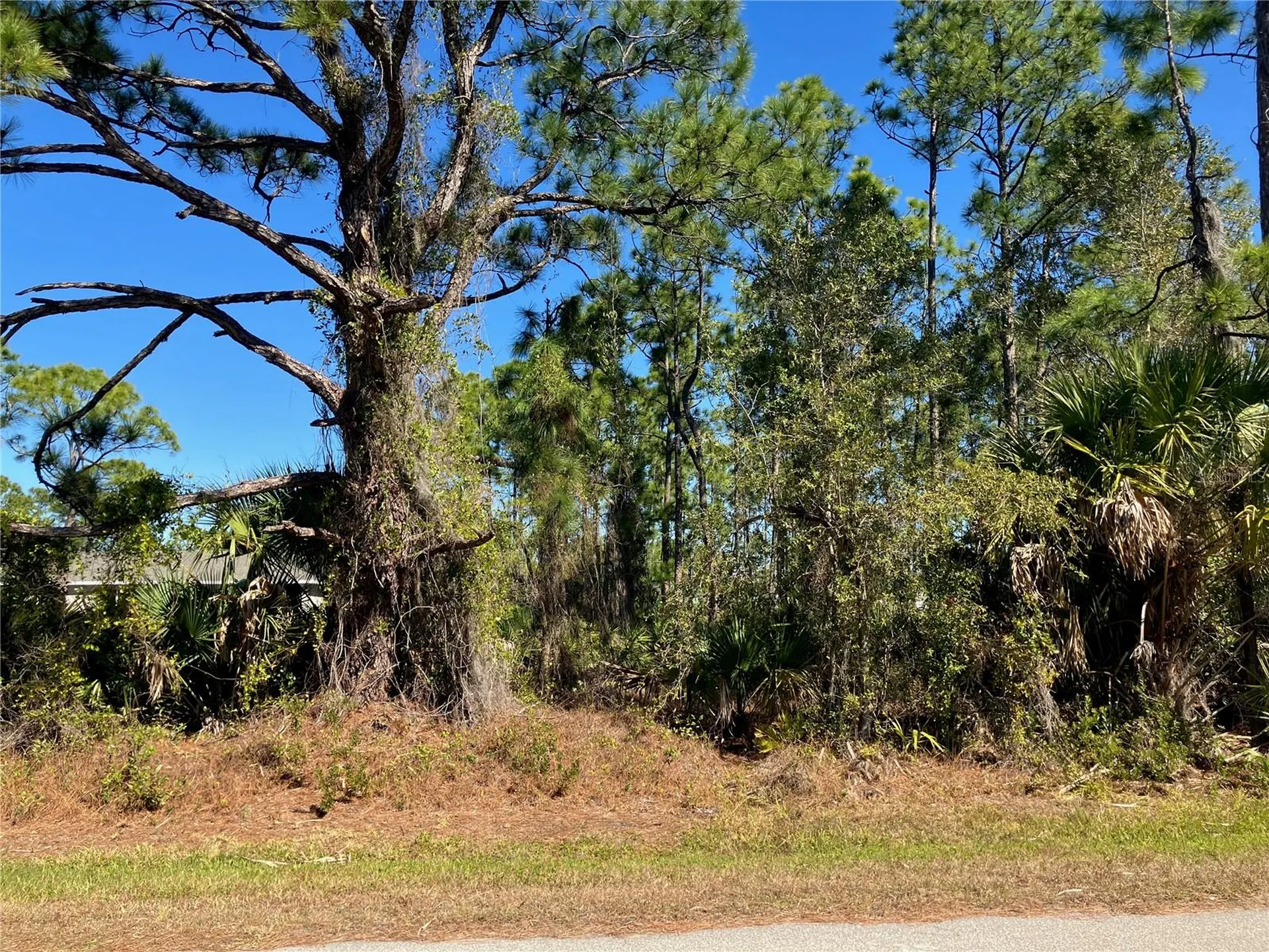 26334 Eager Road Punta Gorda FL 33955