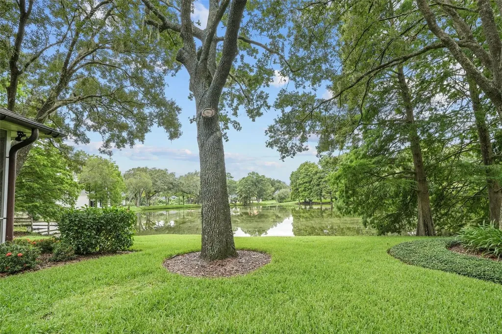16203 Villarreal De Avila Tampa FL 33613