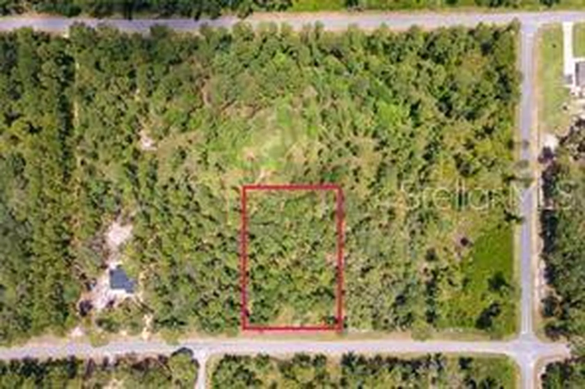 Saffron Avenue Eustis FL 32736