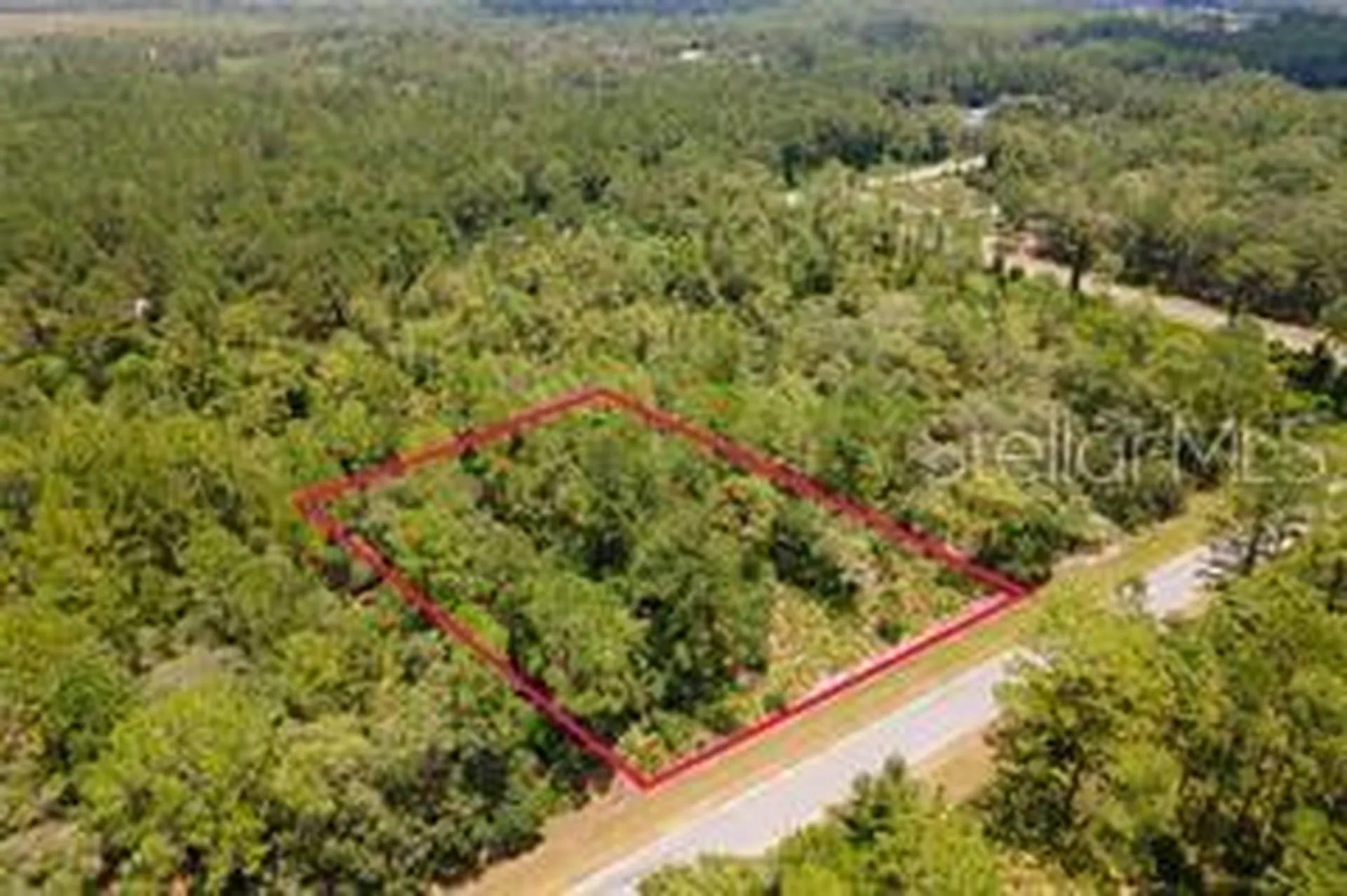 Saffron Avenue Eustis FL 32736