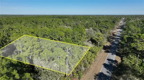 Saffron Avenue Eustis FL 32736