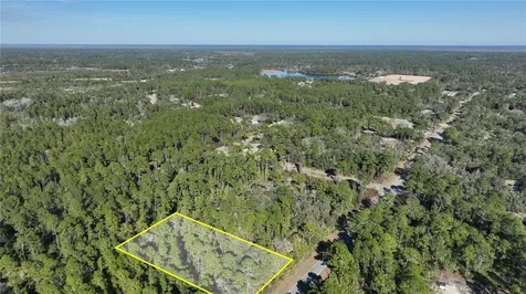 Saffron Avenue Eustis FL 32736