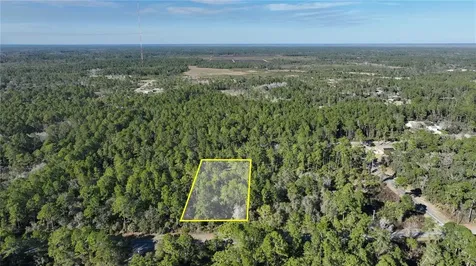 Saffron Avenue Eustis FL 32736