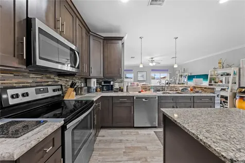 1100 Nelson Meadow Lane Kissimmee FL 34759
