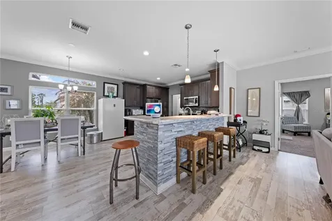 1100 Nelson Meadow Lane Kissimmee FL 34759
