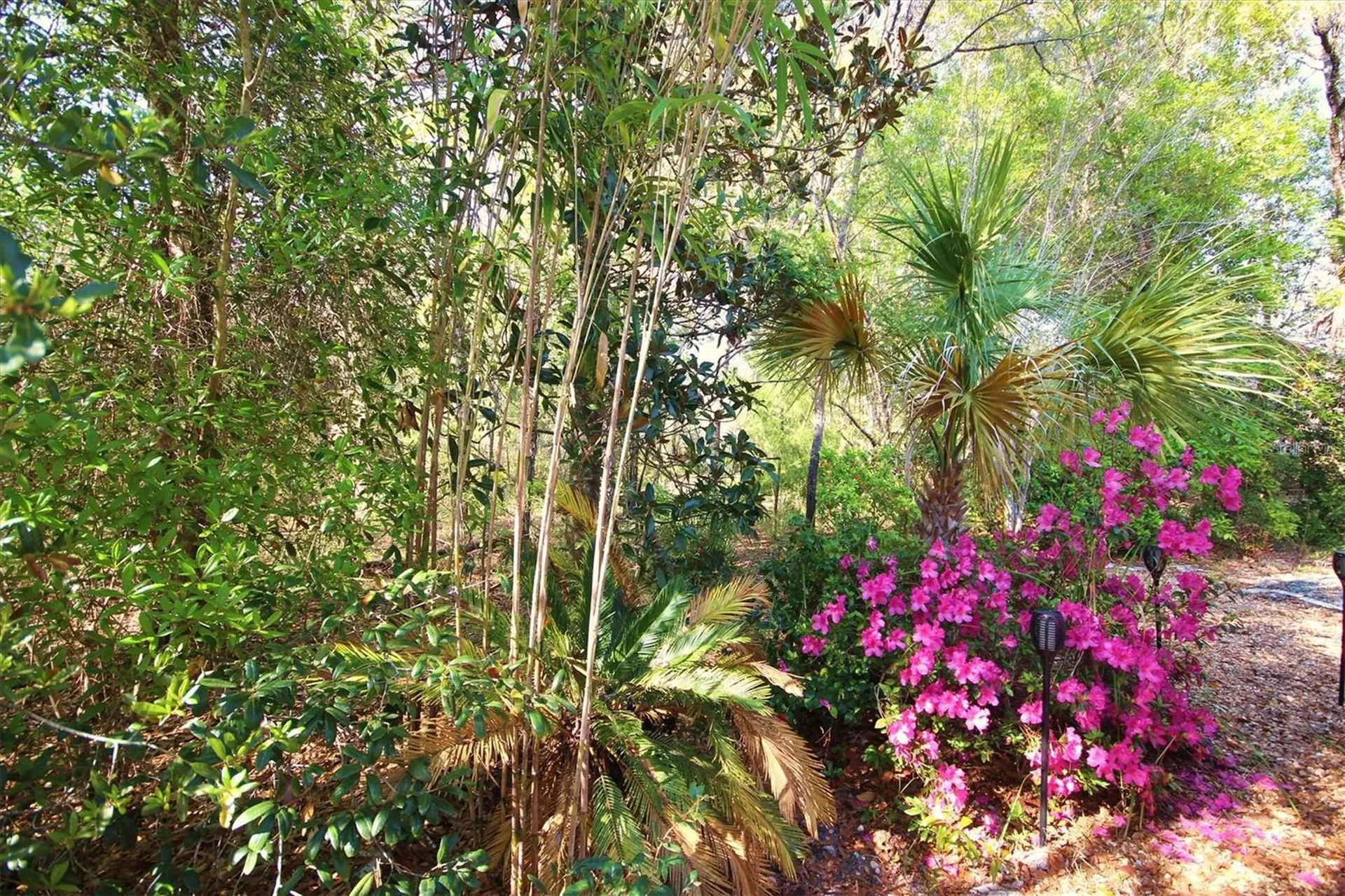 14 Carnation Court Homosassa FL 34446