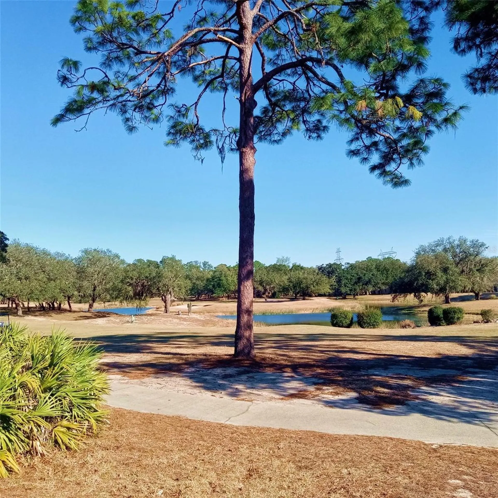 14 Carnation Court Homosassa FL 34446