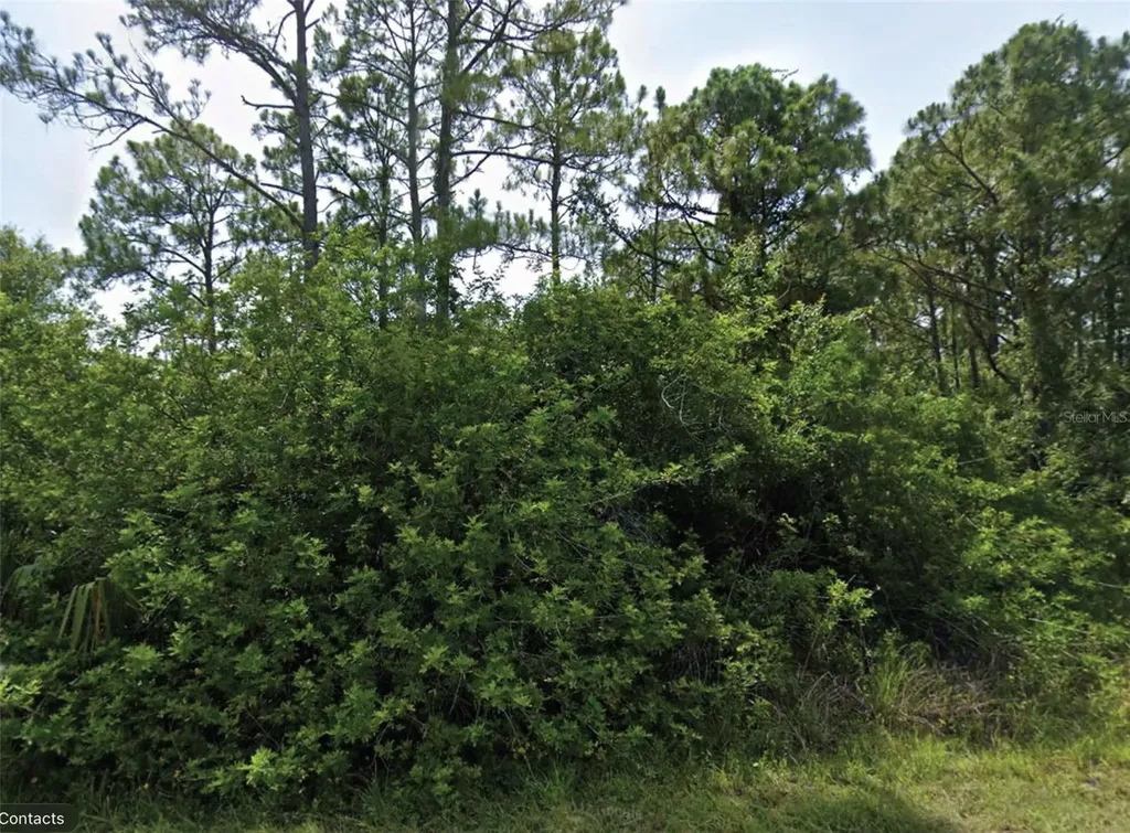 Flambeau Avenue North Port FL 34288