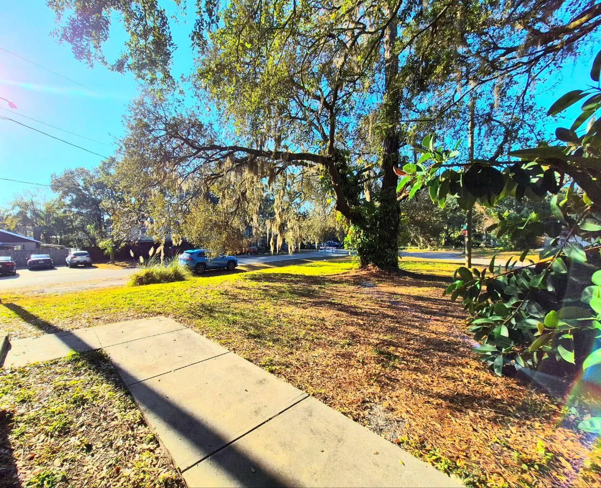 1702 E Mulberry Drive Tampa FL 33604
