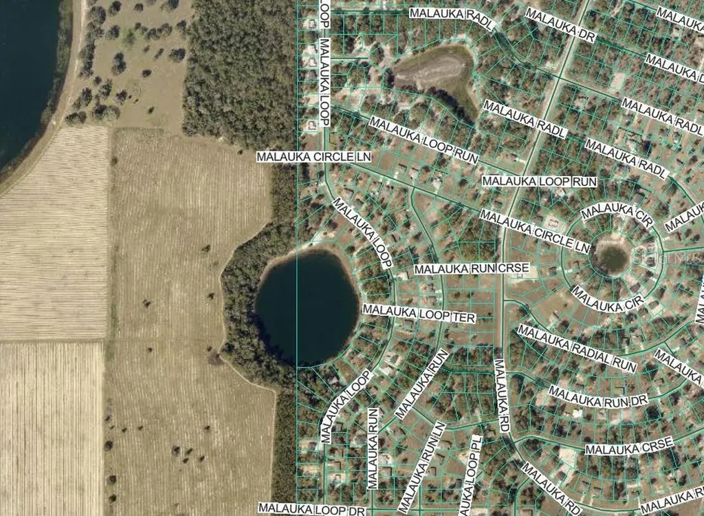 Malauka Run Ocklawaha FL 32179