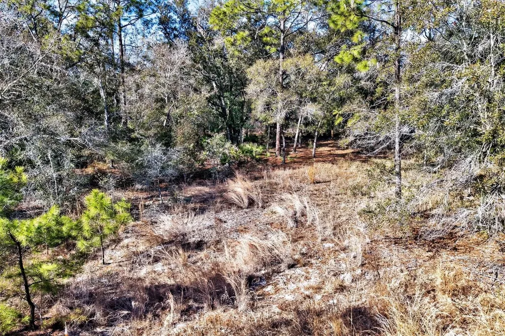 10051 N Marigold Terrace Crystal River FL 34428
