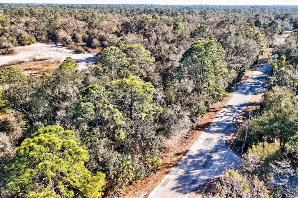 10051 N Marigold Terrace Crystal River FL 34428