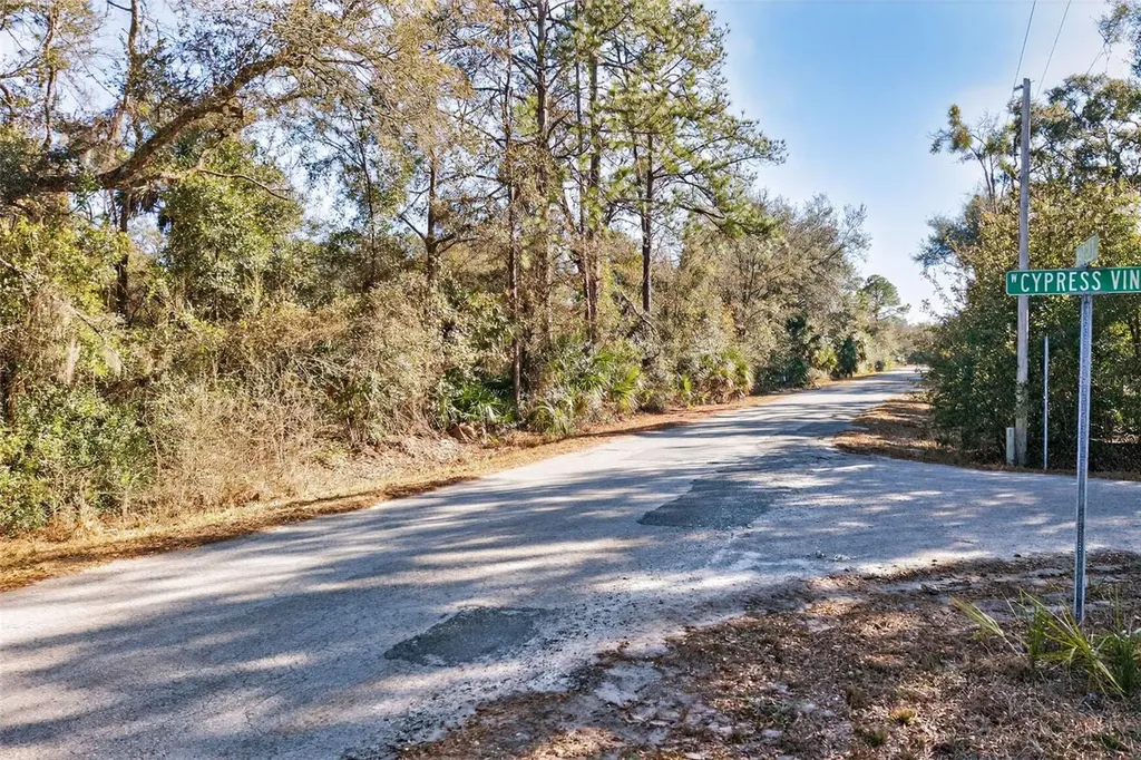 10051 N Marigold Terrace Crystal River FL 34428