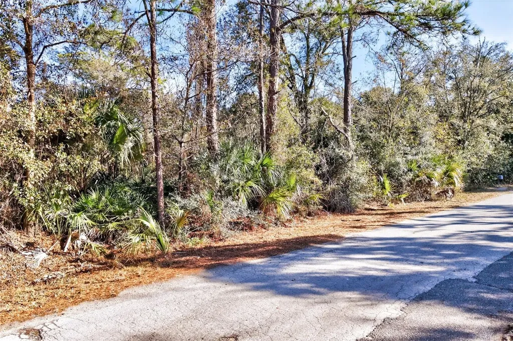 10051 N Marigold Terrace Crystal River FL 34428