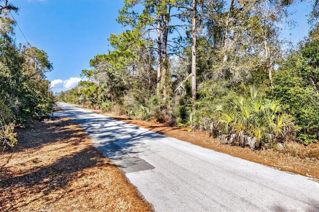 10051 N Marigold Terrace Crystal River FL 34428