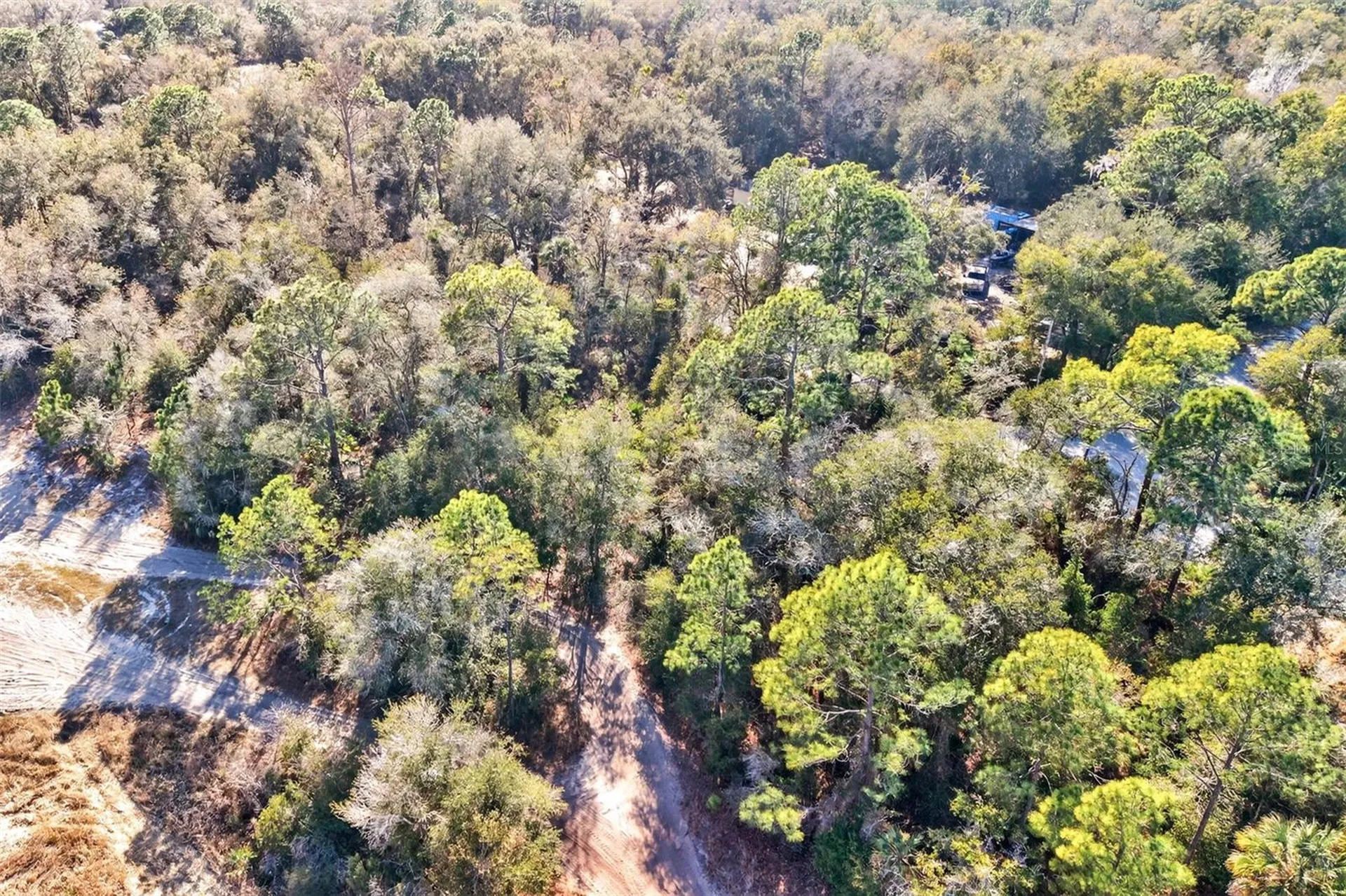 10051 N Marigold Terrace Crystal River FL 34428