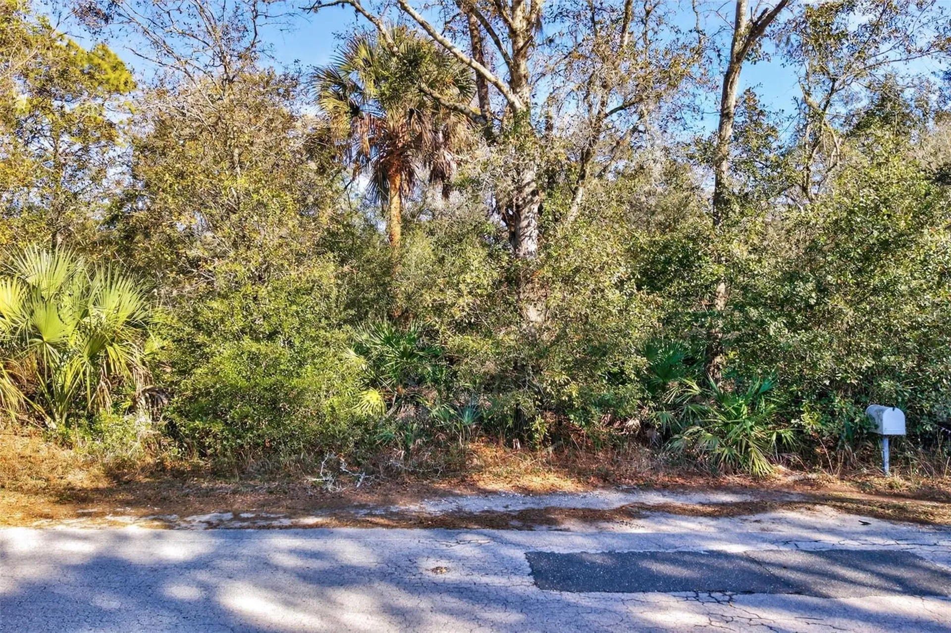 10051 N Marigold Terrace Crystal River FL 34428