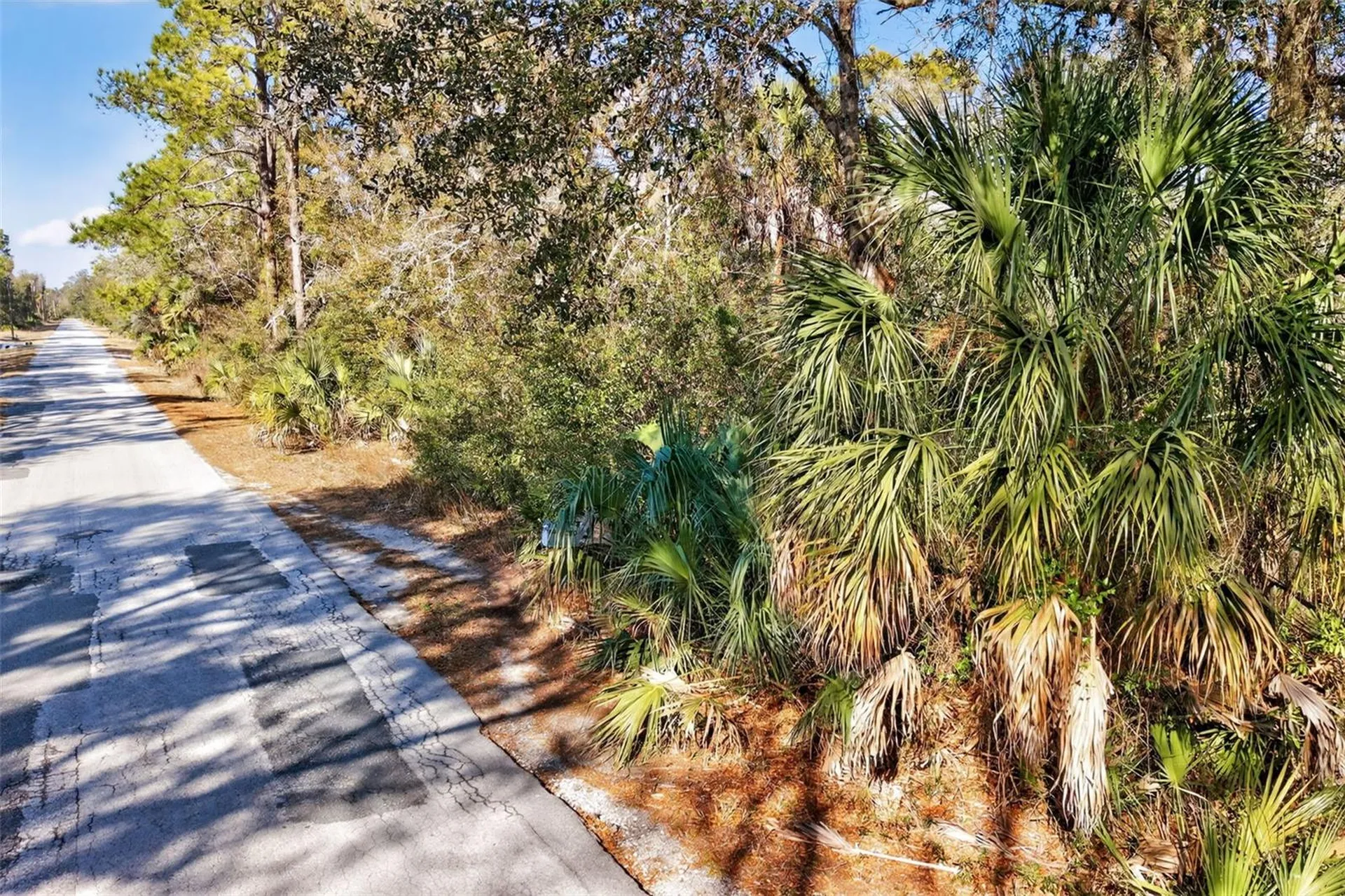 10051 N Marigold Terrace Crystal River FL 34428