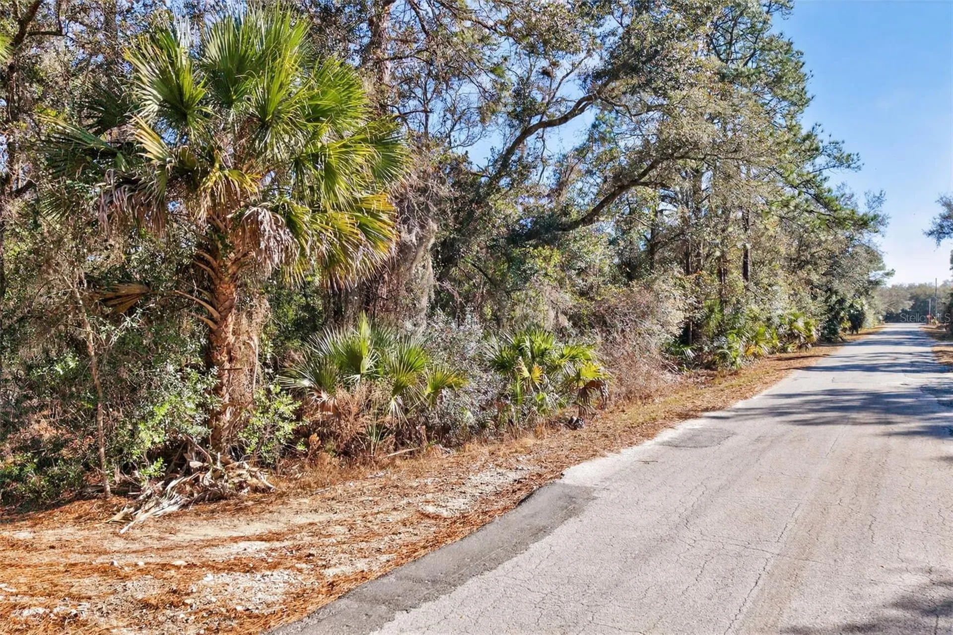 10051 N Marigold Terrace Crystal River FL 34428