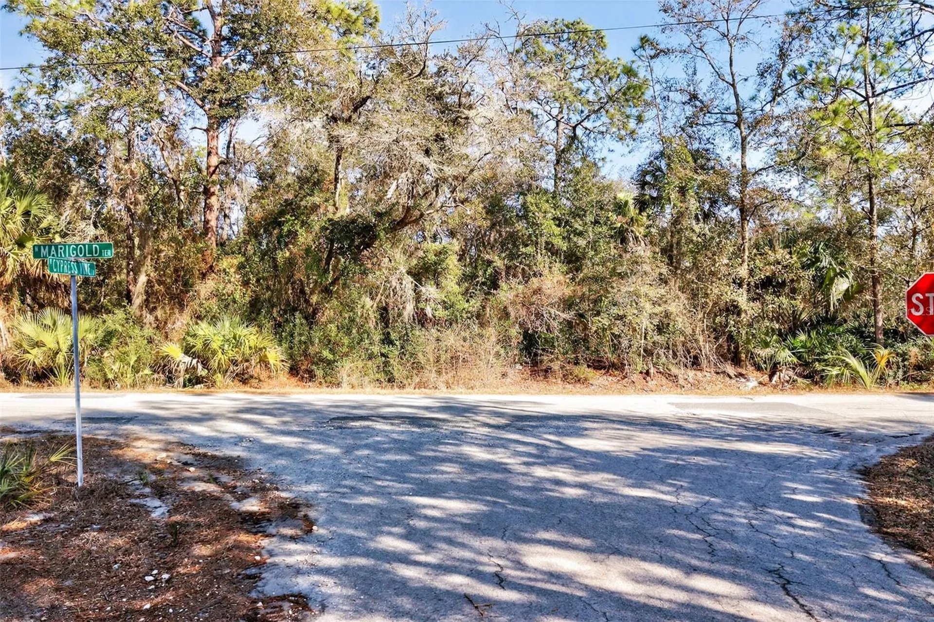10051 N Marigold Terrace Crystal River FL 34428
