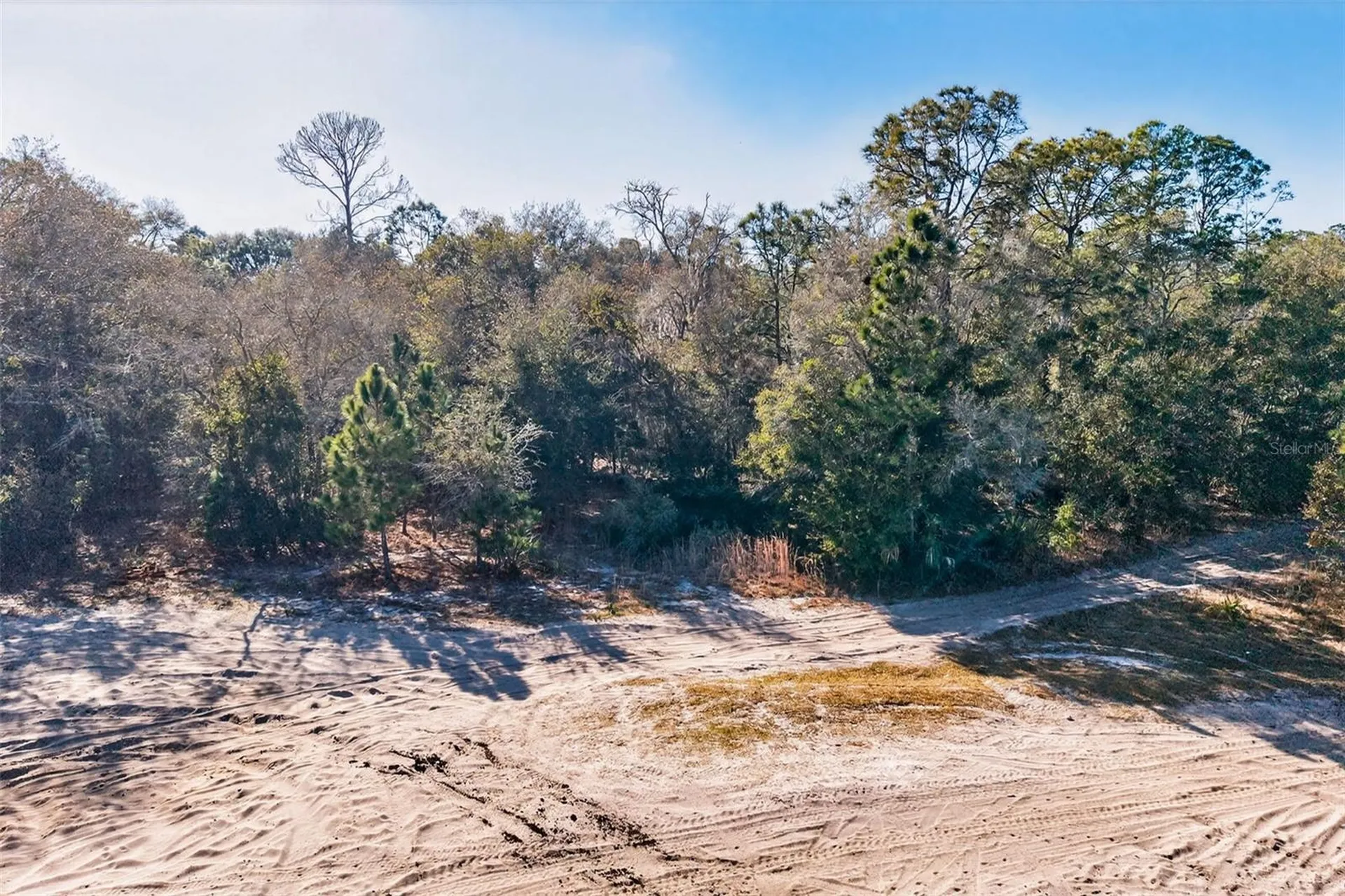 10051 N Marigold Terrace Crystal River FL 34428