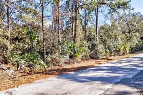 10051 N Marigold Terrace Crystal River FL 34428