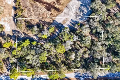 10051 N Marigold Terrace Crystal River FL 34428