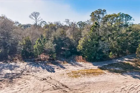 10051 N Marigold Terrace Crystal River FL 34428