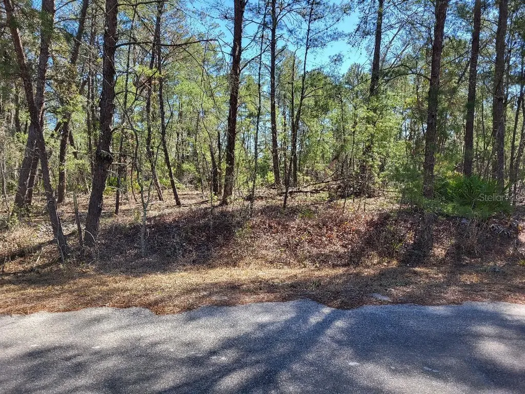 Tbd SE Fisher Run Terrace Ocala FL 34472