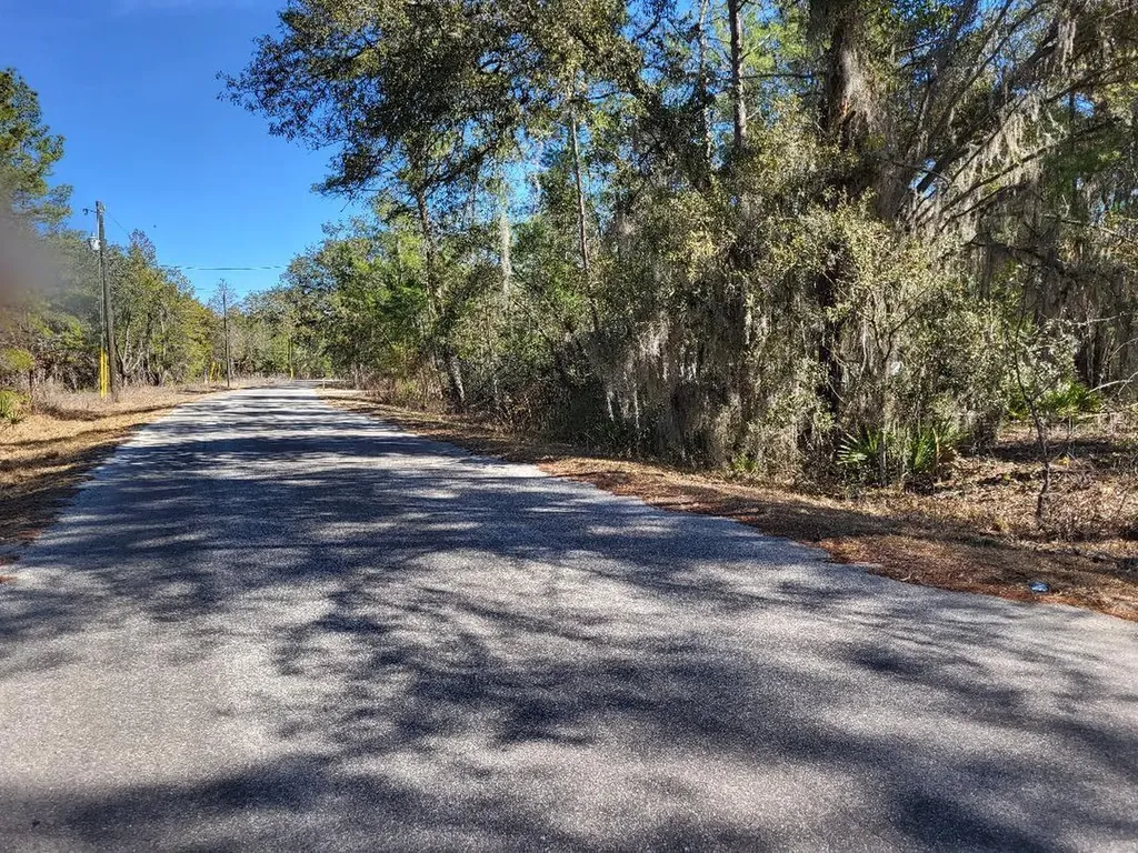 Tbd SE Fisher Run Terrace Ocala FL 34472