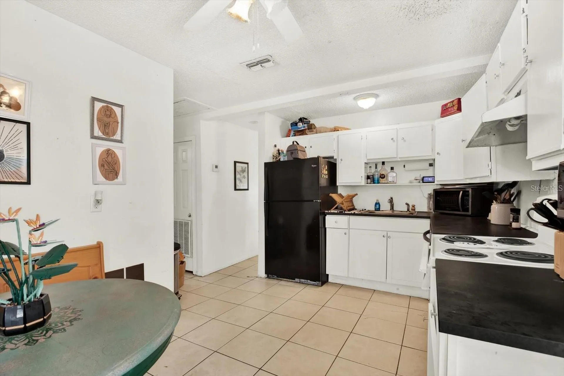 7311 Ardenwood Street Tampa FL 33625